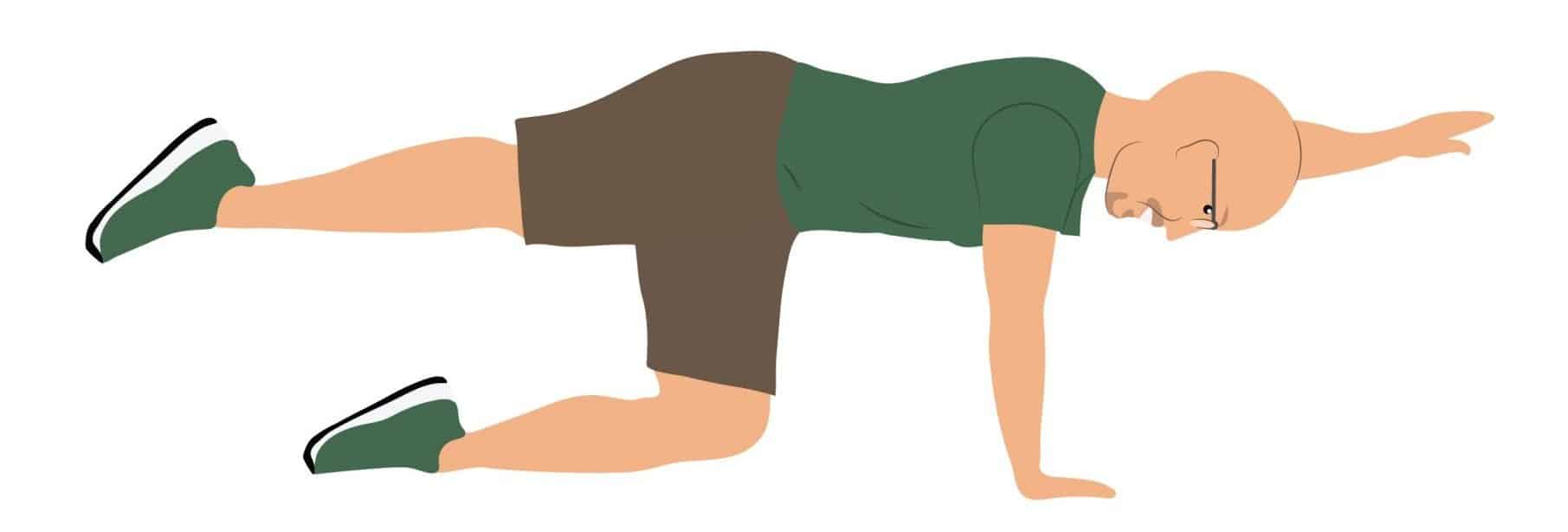 bird dog is easy but effective abdominal exercise for seniors