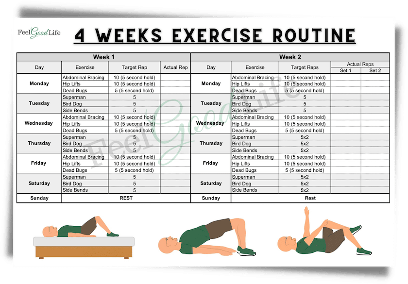 6 Easy Core Exercises for Seniors Printable Workout Chart with