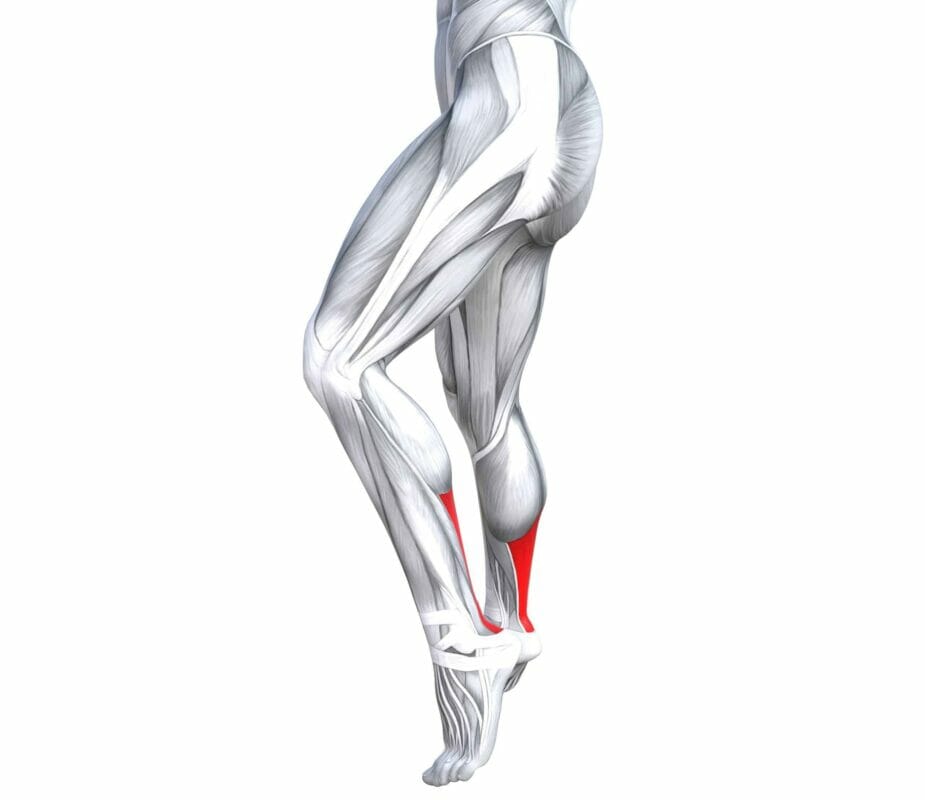 Achilles tendonitis anatomy
